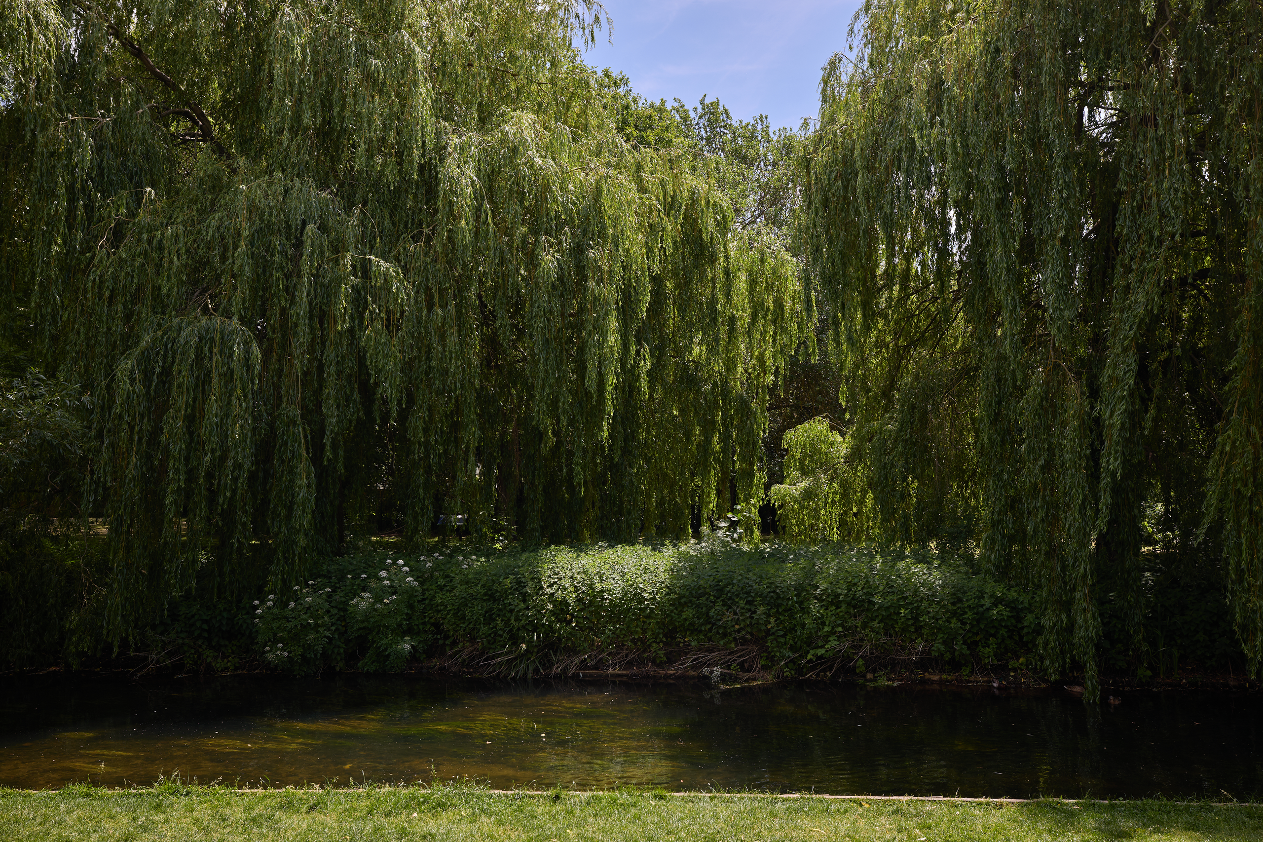 Cb26-09-park