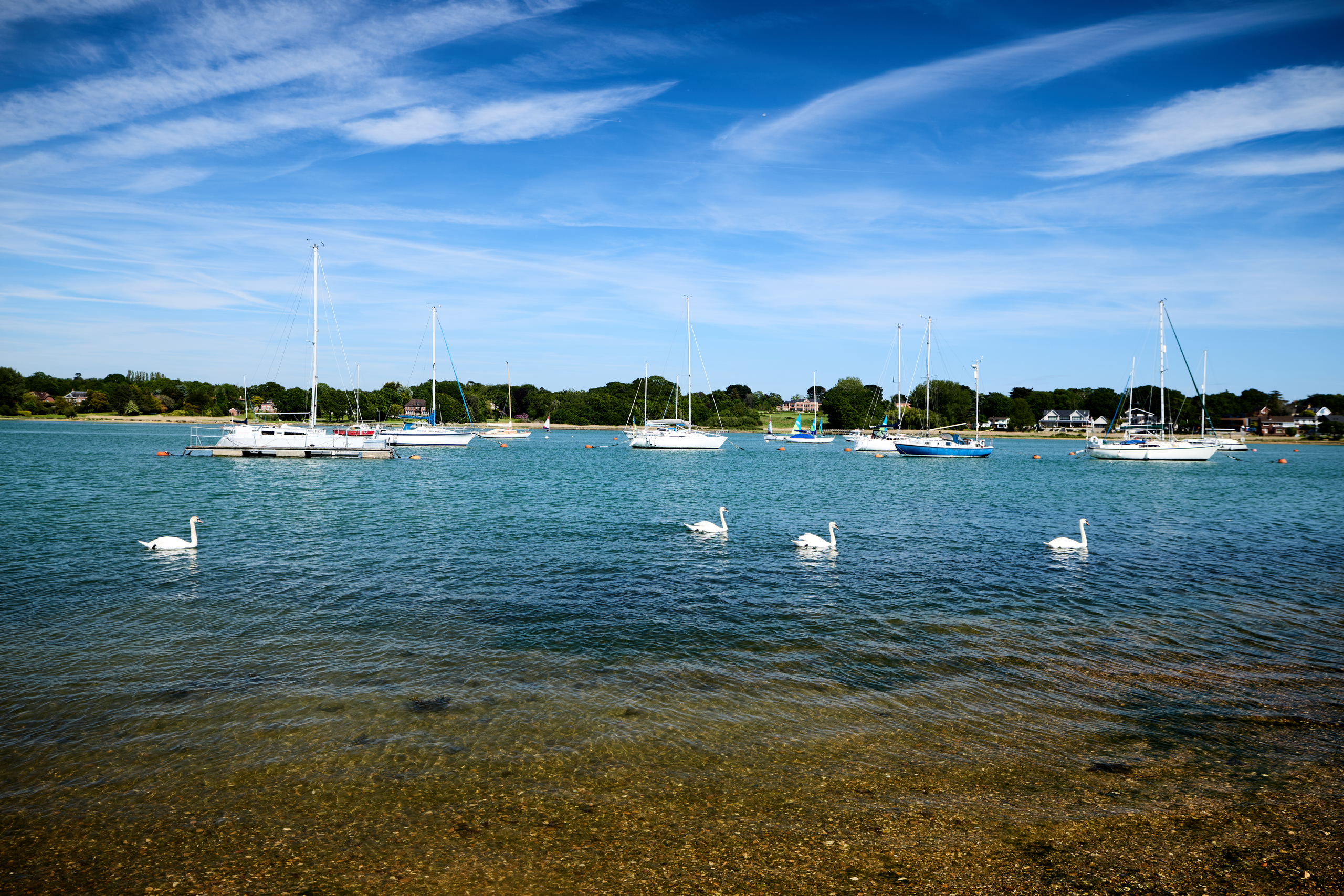Different kinds of boats (swans)