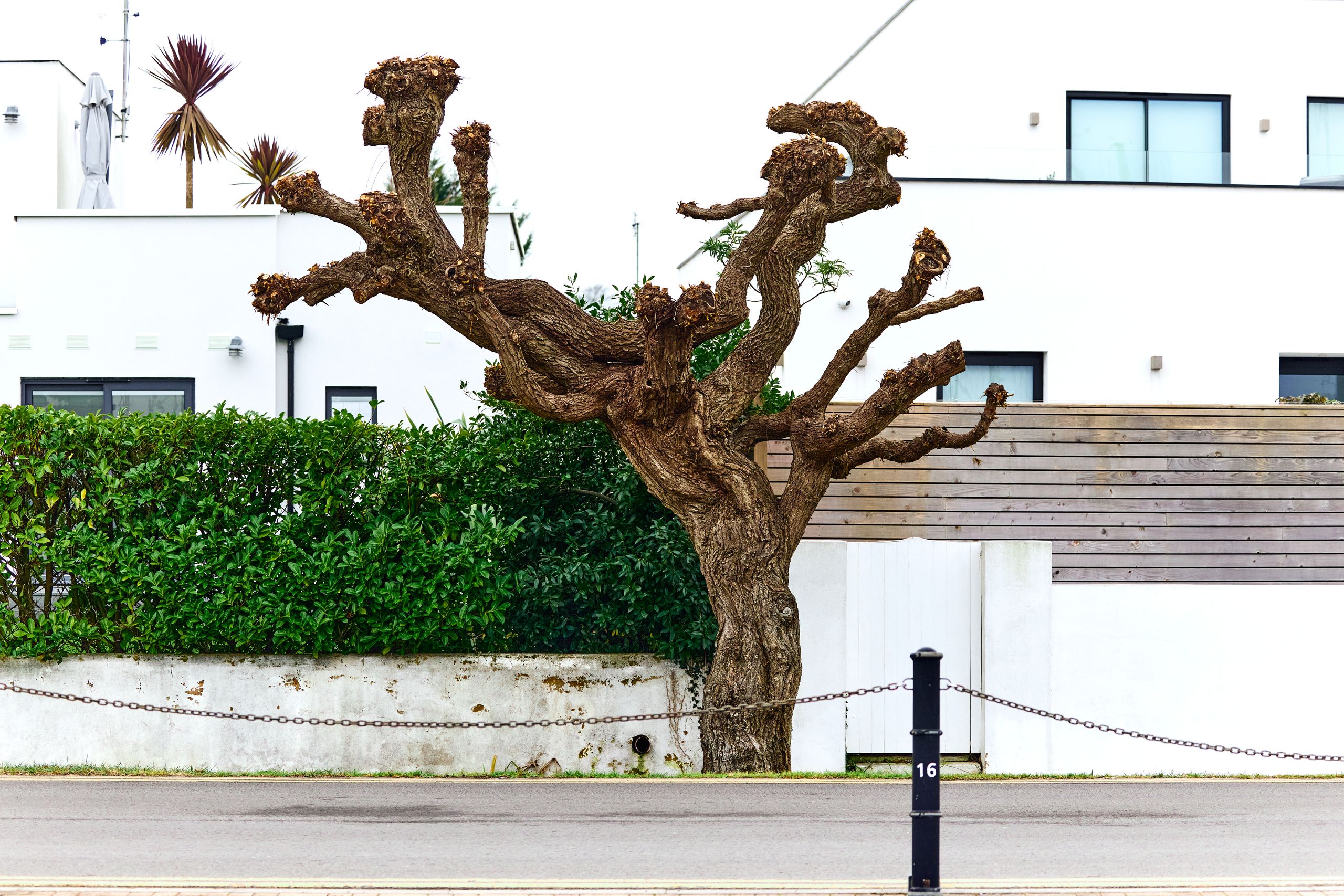 Winter in Hamble