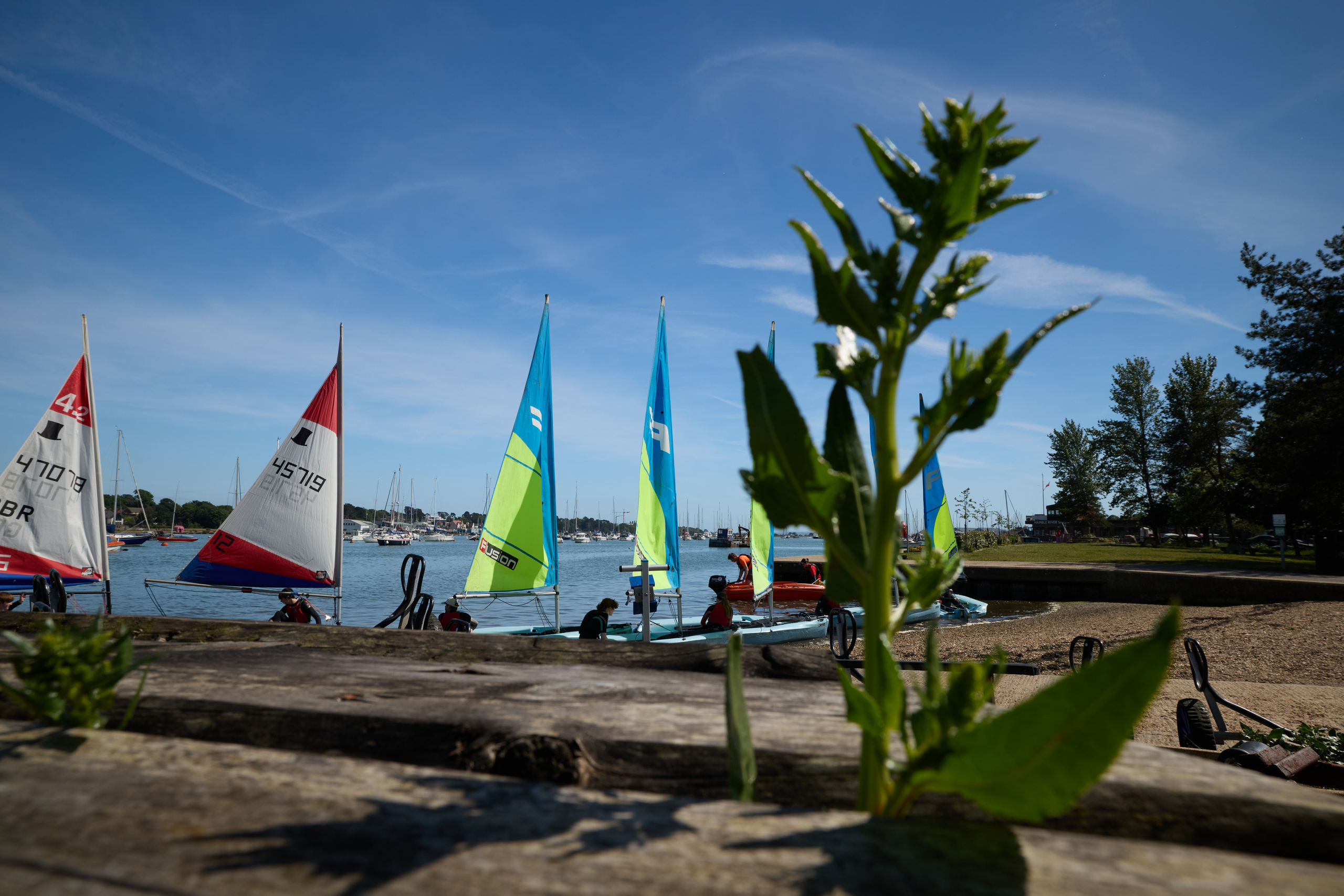 Sailing school